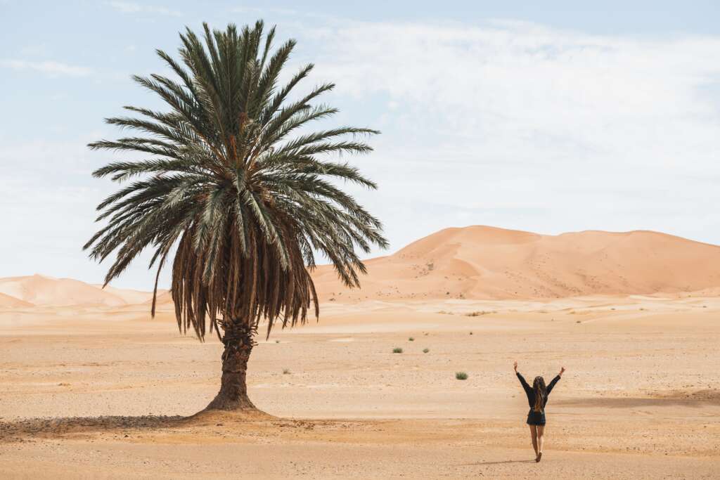 Desert-Safari-Tour-in-Qatar