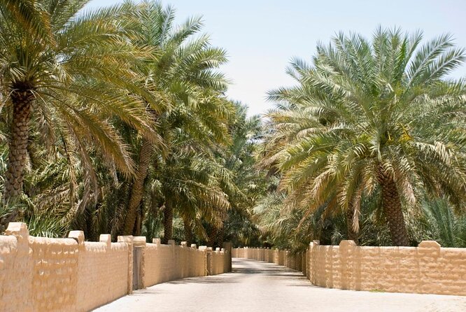 pet-friendly-middle-eastern-cities-al-ain