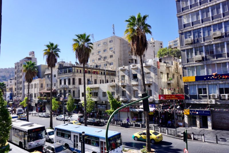 amman-pet-friendly-middle-eastern-cities