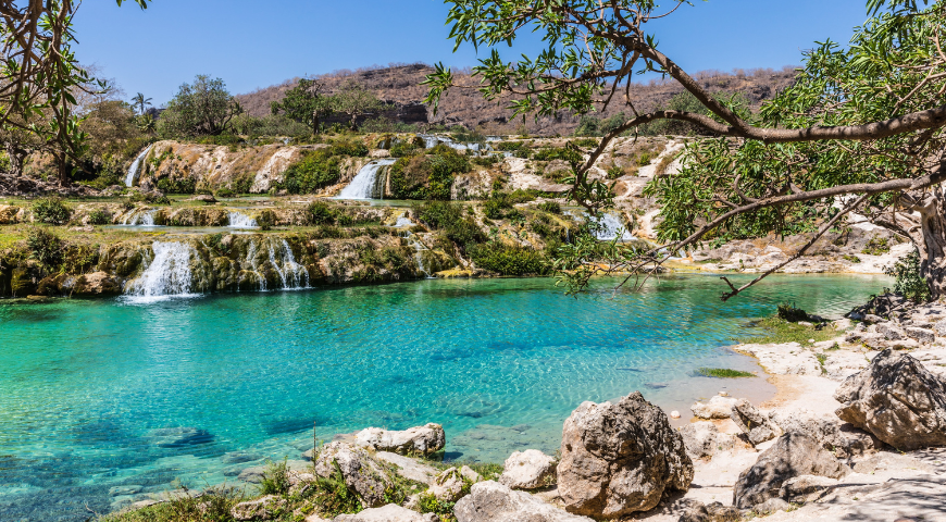 salalah-pet-friendly-middle-eastern-cities