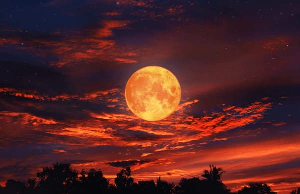spotting-blood-moon-in-doha