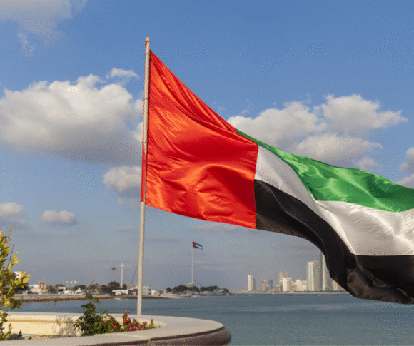 uae-flag-day-2025-celebration