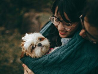 uae-pet-laws