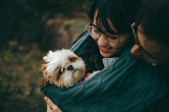 uae-pet-laws
